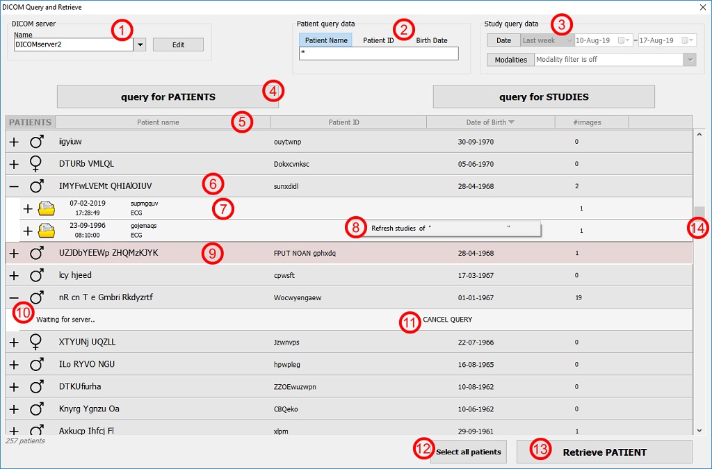 DICOM query and retrieve interface